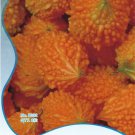 Rare 1 Original Pack, 8 seeds / pack, Yellow Momordica Organic Seeds