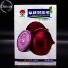 Rare Allium Cepa Purple Round Onions Vegetables 1000 Seeds