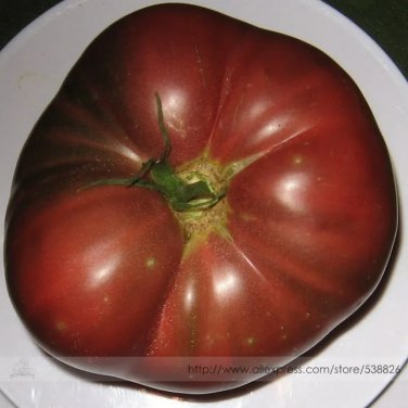 Rare Organic Heirloom Brandywine True Black Lycopersicon lycopersicum Tomato 100 Seeds