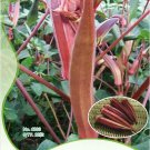 Rare 10 Original Packs, 12 seeds / pack, Fresh Red Burgundy Okra Organic Herbs