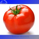 Rare Adelebe Bright Red Big Tomato Seeds, professional pack, 100 Seeds