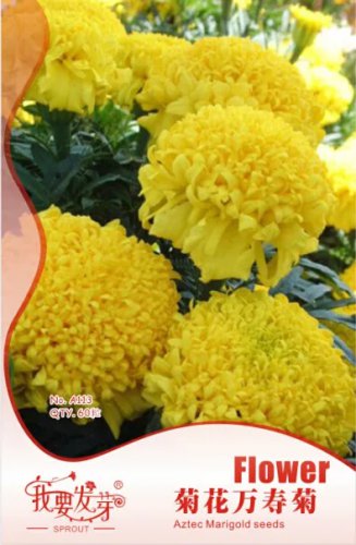 Rare 10 Original Packs, 35 seeds / pack, Jumbo Yellow Crackerjack Marigold Seeds