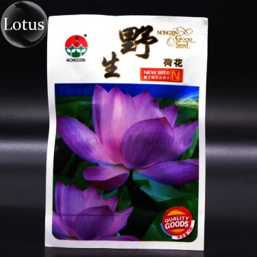 Rare Heirloom Wild Red / Purple Lotus Flower Seeds, Original Pack, 5 Seeds