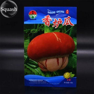 Rare Cucurbita maxima 'Incense burner' Squash Ornamental Fruit Seeds, Original Pack, 10 Seeds