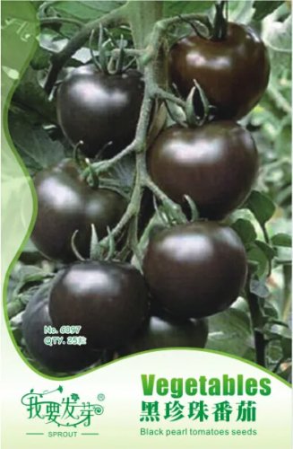Rare 1 Original Pack, 25 seeds / pack, Black Pearl Tomato Seeds