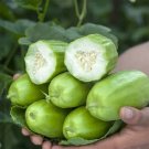 Rare Yellow River' Chinese Vegetable Melon Seeds - High Yield 50 Seeds