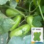 Rare Yellow River' Chinese Vegetable Melon Seeds - High Yield 50 Seeds