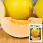 Rare Hongyu Melon 20 Seeds – High-Sugar Sweet Melon Variety with Orange Skin & Flesh