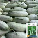 Rare Yangjiao Melon 20 Seeds - Flying 61 Horn Honeydew Variety Yield