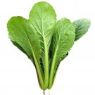 Rare 1 grams seeds Four Seasons Bok Choy Seeds - Year-Round Harvest, Heat & Cold Tolerant