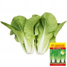 Rare 1 grams seeds '168' Fast-Grow Bok Choy Seeds