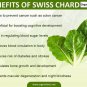 200 Rainbow Swiss Chard Seeds - Organic plant