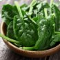 200 Bloomsdale Spinach Seeds - small leaves