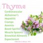 500 WINTER THYME Herb Seeds - Non GMO - high vitamin C
