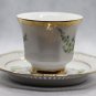 Vintage Svancholm 1530 Flora Alpina Porcelain Bone China Cup and Saucer