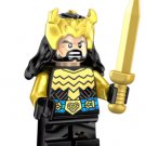 Building Blocks Sam Figures Lord of the Rings Series Aragon Action PG529 Custom Minifigure