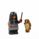 PG 1474 Harry potter Trelawney Cho Chang Hermione Granger Minifigure Toy Gift Action Figures