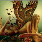 Tree Free Greeting Card Fairy Wood