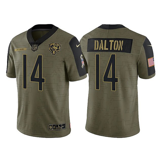 Men & Youth Kids #14 Andy Dalton Chicago Bears 2021 Salute to Service Limited Olive Green Jersey