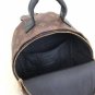 Louis Vuitton Palm Springs PM Monogram Backpack