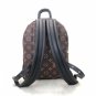 Louis Vuitton Palm Springs PM Monogram Backpack