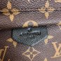 Louis Vuitton Palm Springs PM Monogram Backpack