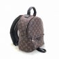 Louis Vuitton Palm Springs PM Monogram Backpack