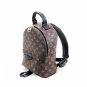 Louis Vuitton Palm Springs PM Monogram Backpack