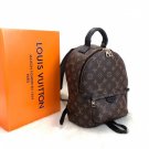 Louis Vuitton Palm Springs PM Monogram Backpack