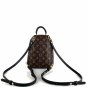 Louis Vuitton Palm Springs Mini Monogram Ebene Backpack