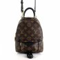Louis Vuitton Palm Springs Mini Monogram Ebene Backpack