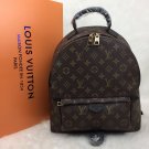 Louis Vuitton Palm Springs MM Monogram Backpack