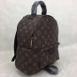 Louis Vuitton Palm Springs MM Monogram Backpack