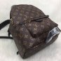 Louis Vuitton Palm Springs MM Monogram Backpack