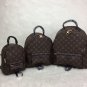 Louis Vuitton Palm Springs MM Monogram Backpack