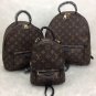 Louis Vuitton Palm Springs MM Monogram Backpack