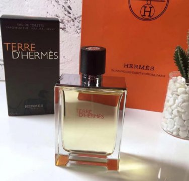 Hermes Terre D'Hermes Pour Homme  100ml - 3.4 fl.oz Spray