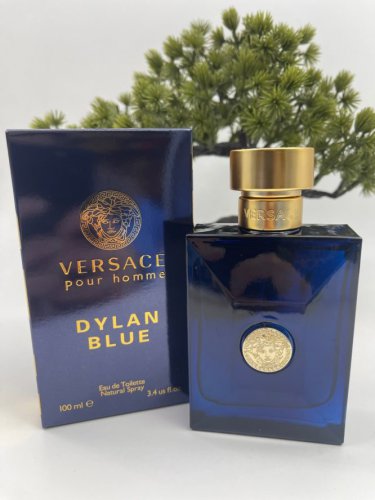 Versace Pour Homme Dylan Blue 100ml - 3.4 fl.oz Spray
