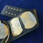 WWF Winged Eagle DUAL PLATED Wrestling Belt Championship Adult Size