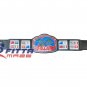 WORLD WRESRLING CHAMPIONSHIP TV CHAMPION Belt Adult Size