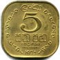 1971 Sri Lankan 5 Cents coin. Nickel Brass. 50 years old. Fully uncirculated.