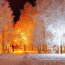 Winter fairy