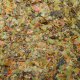 Dry Foods for Fish