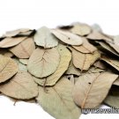 Guava Leaves 20g