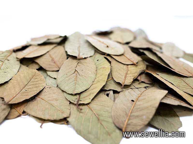 Guava Leaves 100g