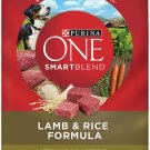 Dry Dog Food, Purina ONE Natural SmartBlend Chicken & Rice Formula, 31.1-lb bag