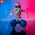 Anime Dragon Ball Figure Master Roshi Toys Gifts Model Collectible Ornament
