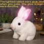 Cute Electric Rabbit Plush Toy Walks, Wiggles Ears Wags Tail, Pink