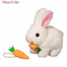 Cute Electric Rabbit Plush Toy Walks, Wiggles Ears Wags Tail, White-Carrot
