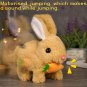 Electric Plush Rabbit Walks Nods, Soft Adorable Toy Cartoon, Brown
